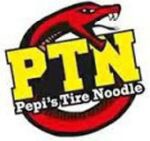 PEPIS Tire Noodle 