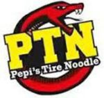 PEPIS Tire Noodle 