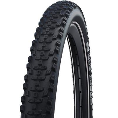 pl᚝ Schwalbe Smart Sam Plus Addix DD E-bike